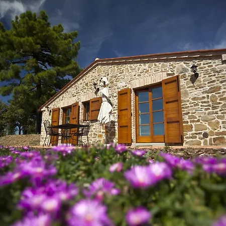 Tenuta Angelici Winery Casa Contea With Pool And Panoramic Pool Cortona *