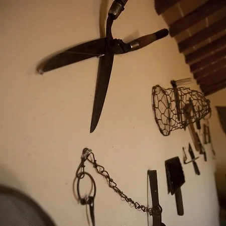 Willa Tenuta Angelici Winery Casa Contea With Pool And Panoramic Pool Cortona