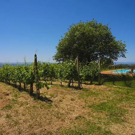 Villa Tenuta Angelici Winery Casa Contea With Pool And Panoramic Pool Cortona *