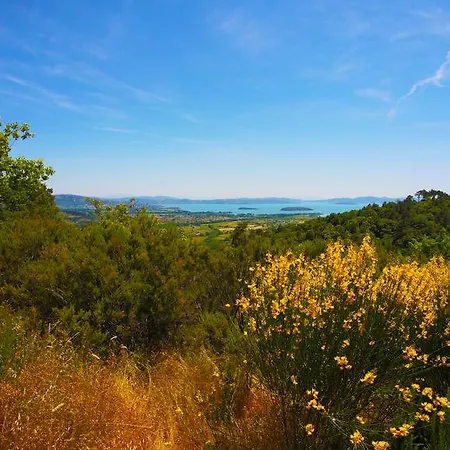 Willa Tenuta Angelici Winery Casa Contea With Pool And Panoramic Pool Cortona