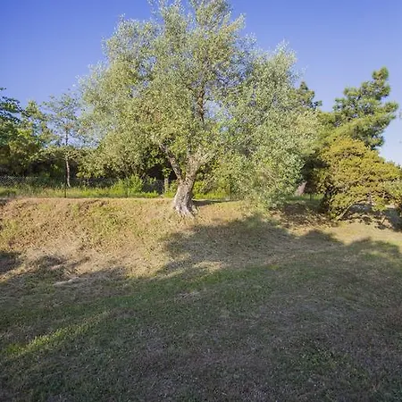 Villa Tenuta Angelici Winery Casa Contea With Pool And Panoramic Pool Cortona
