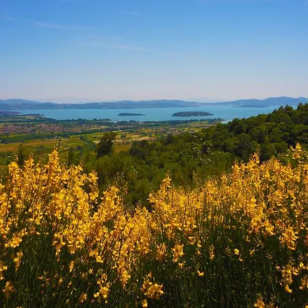 Tenuta Angelici Winery Casa Contea With Pool And Panoramic Pool Cortona Willa *